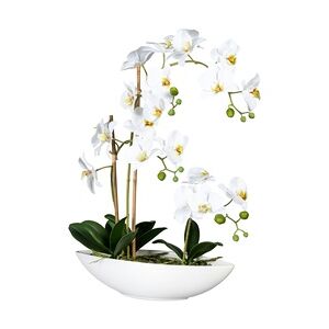 CREATIV green künstliche Pflanze Phalaenopsis x4, ca 60cm weiss, im Keramikschiff 37x11x9cm, mit Steine, Real Touch