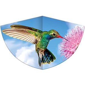 GÜNTHER FLUGSPIELE Paul Günther 1178 Cerf-volant pour enfants avec motif colibri, cerf-volant à une corde en film PE robuste, pour enfants à partir de 4 ans, dimensions env. 75 x 48 cm - Publicité