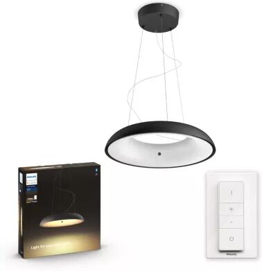 Philips Ampoule PHILIPS Hue Amaze suspension Noi