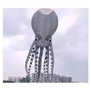 CIJIAOPOYU KITE hanger octopus zachte opblaasbare vlieger 30m 35m (kleur: 35m)