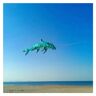 CAYUND Gigantische vlieger enorme vlieger grote vis vlieger vliegende zachte vliegers onfeilbare vliegers windsurfvliegers (kleur: 700 cm willekeurige kleuren-01, maat: vis)