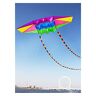 EKORAS 2,5 m vliegers vliegen voor kinderen vliegers zweefvliegers speelgoed parafoil vlieger 3d vliegers professionele paragliding volwassen (kleur: vlieger 2p 3D 10m staart)