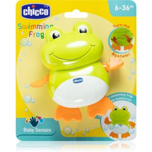 Chicco Baby Senses Swimming Frog toy for the bath 6-36 m 1 pc