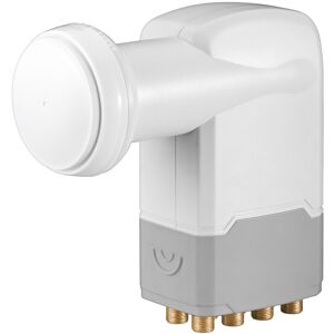 Octo Lnb Hoved