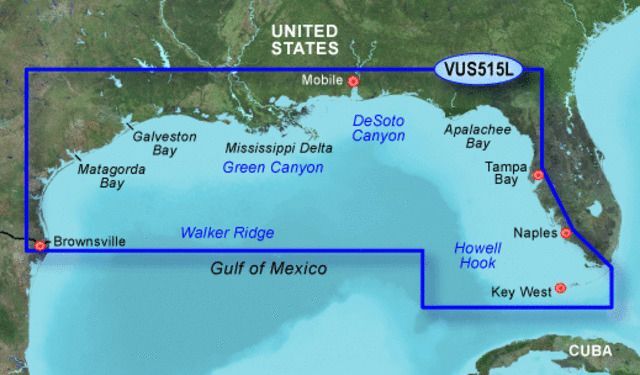 Photos - GPS Accessory Garmin On The Water GPS Cartography BlueChart g2 Vision Gulf of Mexico Lar 