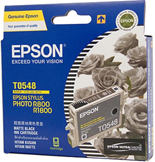 Epson T0541 Ink