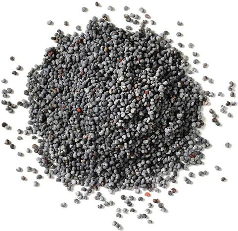 Unbranded 10Kg Poppy Seeds Pouch Blue Unwashed Australian Food Baking Cooking