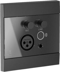 Audac WP225/B Bluetooth / Mikrofon / Line Wandpanel