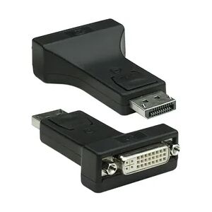 Techly DSP-229 DisplayPort DVI-I Schwarz