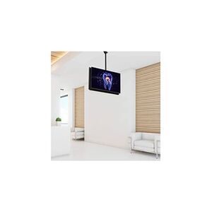 StarTech.com Double support de plafond pour TVs dos à dos avec poteau de 3,5 à 5 pieds - Téléviseurs de 32"-75" - FPCEILBTB - Support - pour écran plat - acier - Publicité