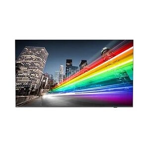 Philips 75BFL2214/12 Fernseher 190,5 cm (75