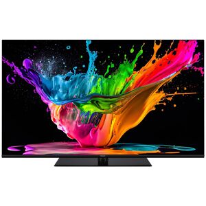 Panasonic TV OLED 4K 139 cm TX-55MZ800E