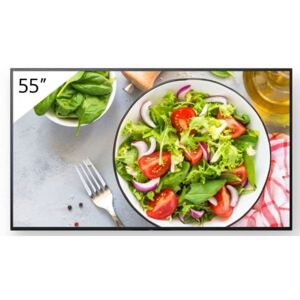 Television Videowall Sony FW-55BZ35L 55 4K Ultra HD LED IPS D-LED VA LCD