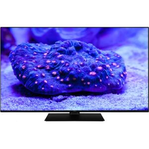 Hitachi Q55KA6360 TV 139,7 cm (55