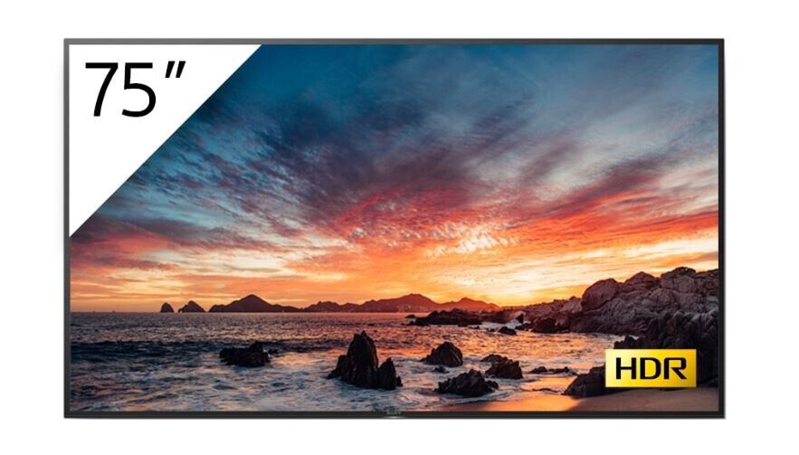 Sony FWD-75X80H/T/1 Android BRAVIA met Tuner