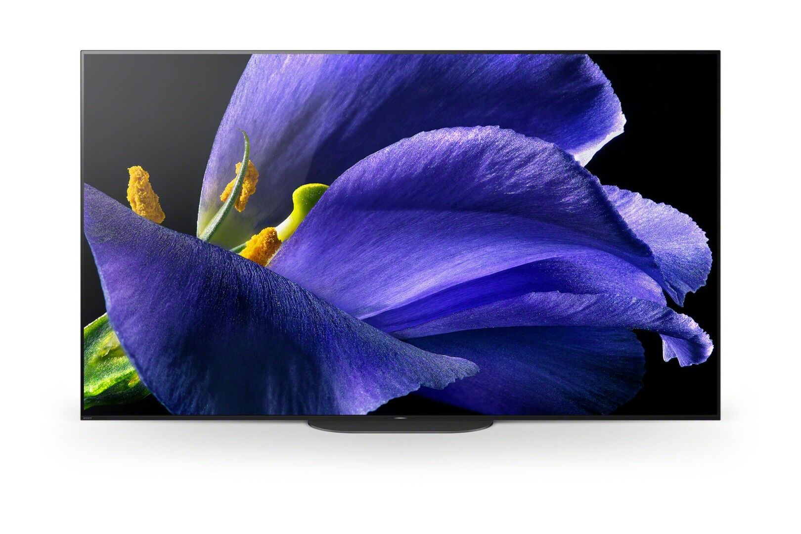 Sony OLED KD-65AG9