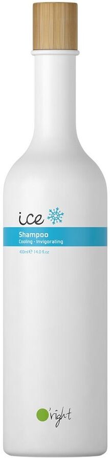 Ice Shampoo 400.0 ml