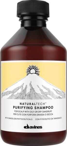 Davines Natural Tech Purifying Shampoo 250 ml