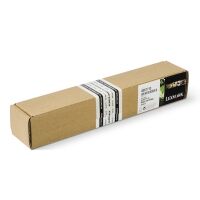 Lexmark 40X7713 separation roller (original Lexmark)