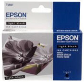 Epson Tinteiro T0597 Preto Claro Stylus R2400