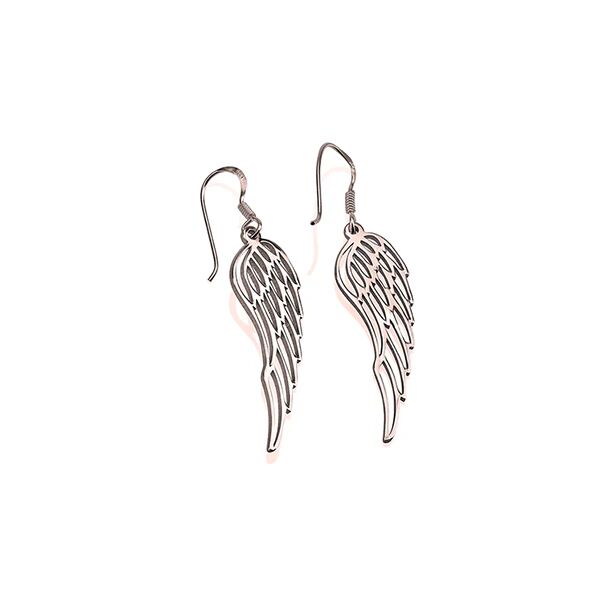 Unbranded Wing Earrings