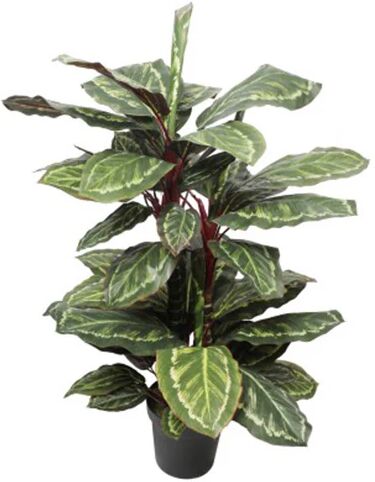 Unbranded Artificial Wide Leaf Cordyline Plant 90Cm