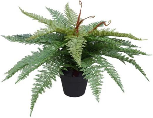 Unbranded Artificial Potted Fishtail Fern 55 Cm