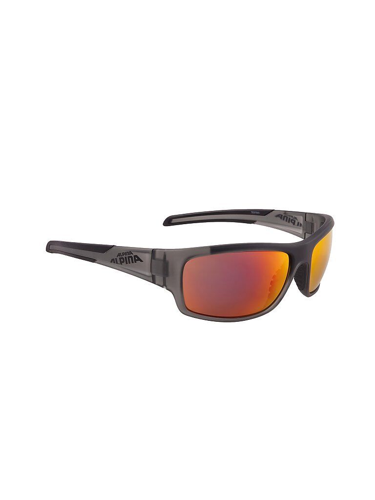 ALPINA Sportbrille Testido grau   8514 3 31 Auf Lager Unisex EG