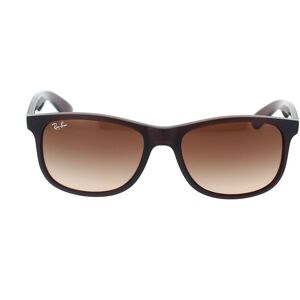 Sonnenbrille Ray-Ban Andy RB4202 607313 Marrone Unisex