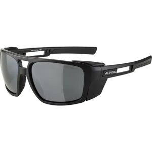 Herren Brille ALPINA SKYWALSH - male - Grau - -