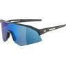 Alpina Kontrastverstärkende komfortable Sportbrille. Farbe: Schwarz / Größe: One Size