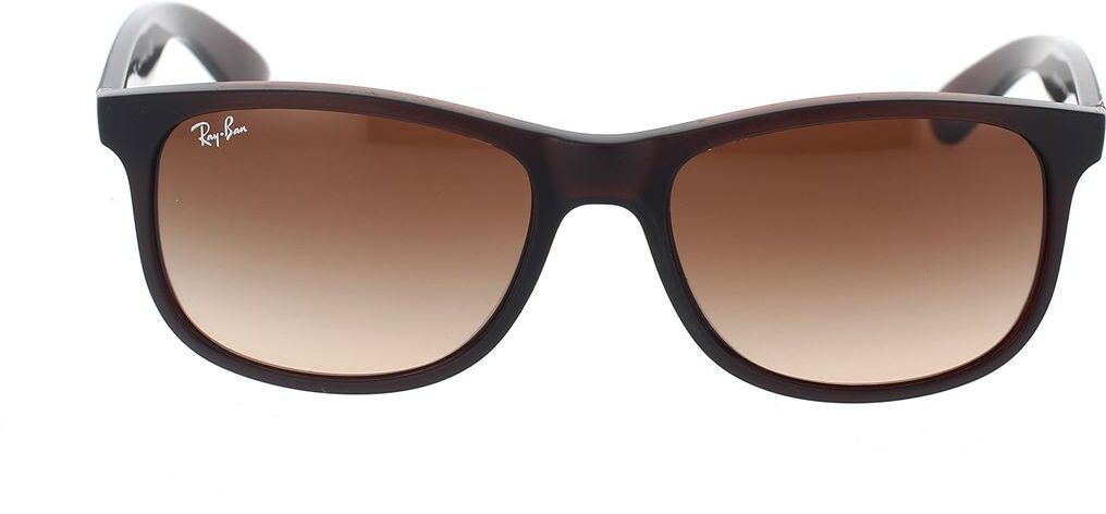 Sonnenbrille Ray-Ban Andy RB4202 607313 Marrone Unisex