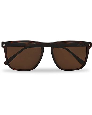Brioni BR0086S Sunglasses Havana/Brown men One size Brun