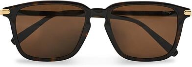 Brioni BR0057S Sunglasses Havana/Brown men One size Brun