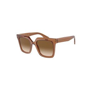 Gafas De Sol Giorgio Armani Mujer  Ar8156-593251