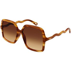 Chloé Chloe Ch 086s 002 Gafas De Sol Havana