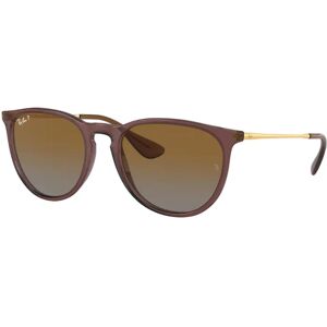 Rayban Erika Rb 4171 6593t5 Gafas De Sol Marron