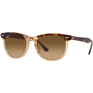 Rayban Rb-2398 1292m2 Havana On Transparent Brown(gradient Brown Polar 53*21 Gafas De Sol Havana marrón