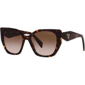 Prada Pr 19zs 2au6s1 Gafas De Sol Havana