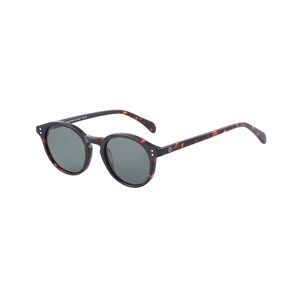 Beo S194 C2 Gafas De Sol Havana