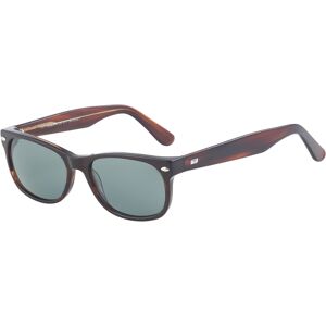 Trend 145 C2 Gafas De Sol Havana