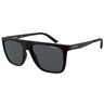 Gafas De Sol Arnette Hombre  An4261-01-81