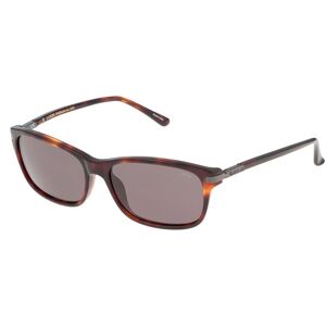 Sunglasses Marron Homme Marron One Size male