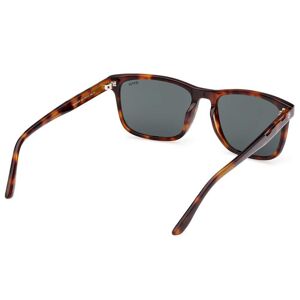 Bmw Bw0053-h Sunglasses Marron Homme Marron One Size male - Publicité