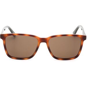 Sunglasses Marron Brown Homme Marron Brown male