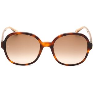 Sunglasses Marron Brown Homme Marron Brown male