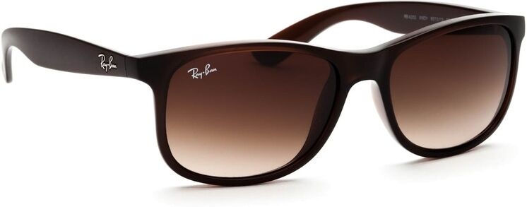 Andy Ray-Ban Andy RB4202 607313 55