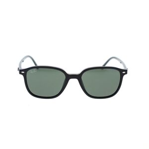 Ray-Ban Occhiali da Sole Leonard RB2193 901/31