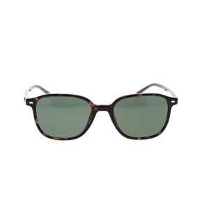 Ray-Ban Occhiali da Sole Leonard RB2193 902/31