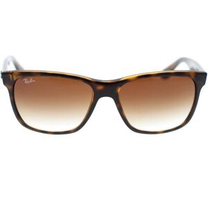 Ray-Ban Occhiali da Sole RB4181 710/51